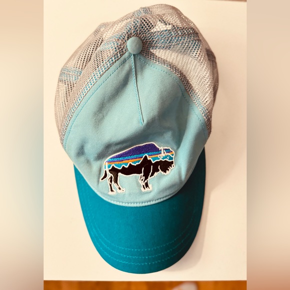 Patagonia Accessories - Patagonia Trucker Hat Teal / Blue Mesh Logo — Good Used Condition